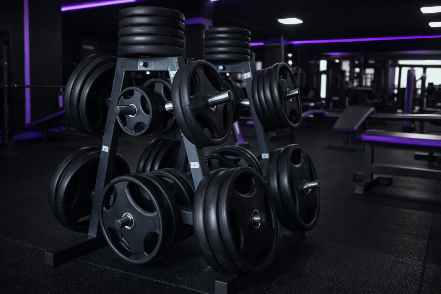 Strength Training Equipment